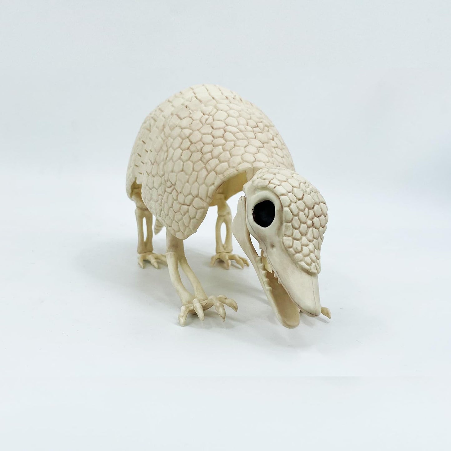 JUST FOR PARTY Armadillo Skeleton Halloween Decorations, 14"x4"x6.25", Rotatable Head and Openable Mouth, Resistant Plastic Armadillo for Fall Graveyard Haunted House Party Indoor and Outdoor Decor