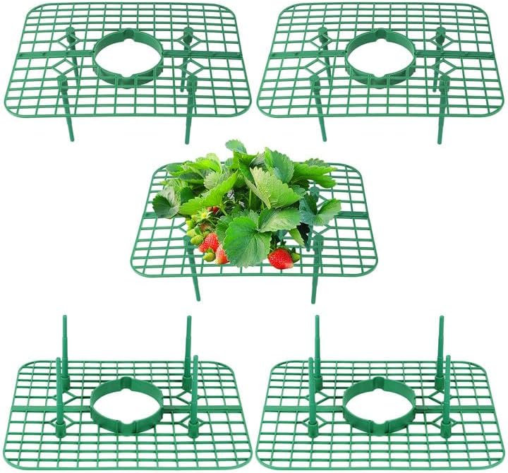Qumenan 5 Pack 4 Strawberry Plant Support Square Strawberry Supports for Garden Green Holder Plastic Stand with Sturdy