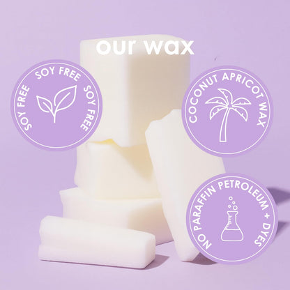 Pet Safe Candle for Dogs | Non Toxic Coconut Apricot Wax Candle | Clean Burning, Paraffin-Free | Pet Odor Eliminating Home Fragrance | Pumpkin Spice | 4 oz