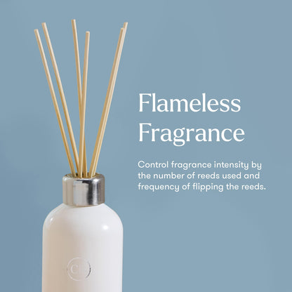 Capri Blue Volcano Reed Diffuser Set - Includes Reeds, Fragrance Oil, and Glass Bottle - Luxury Scented Reed Diffusers for Home Decor - Room Fresheners - White (8 fl oz)
