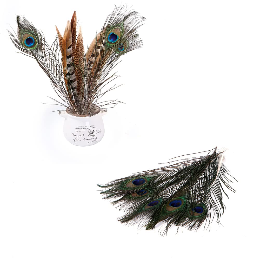 Flying Feathers 12pcs Natural Pheasant Feathers 25-30cm 4 Style Feathers Mixed Peacock Feathers for DIY Craft Wedding Home Party Decorations FF16…