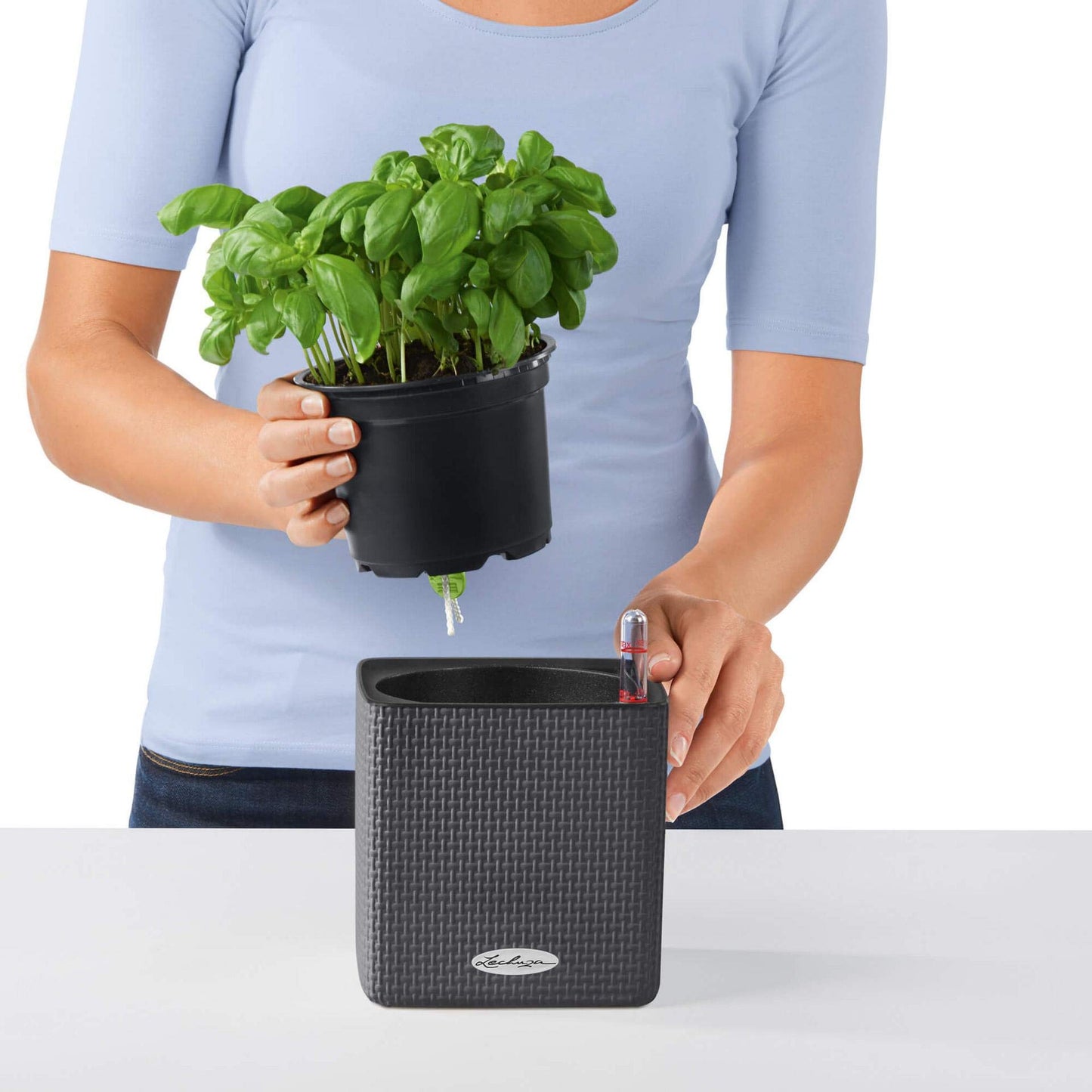 Lechuza Cube Color 16 Self Watering Plant Pot, White, 17 cm Diameterx 17 cm Width x 16 cm Height