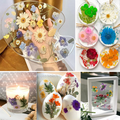 320PCS Dried Pressed Flowers Bulk for Resin, YouthBro Real Natural Pressing Flowers with Two Sheets Butterfly Stikers for Mold DIY Art Crafts,Home Décor,Cherish