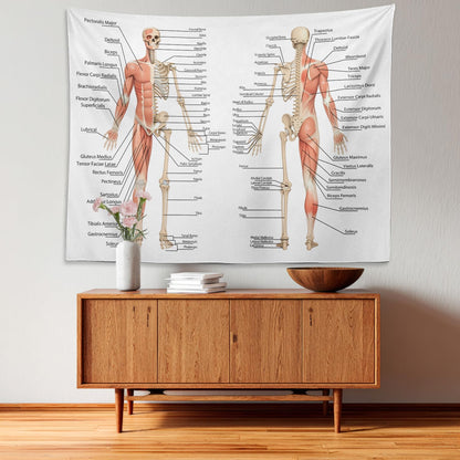Batmerry Skeleton Tapestry, Body Human Skeleton Anatomy Backbone Biology Board Bone Picnic Mat Hippie Trippy Tapestry Wall Art Decor for Bedroom Living Room, 51.2 x 59.1 Inches, Human Anatomy