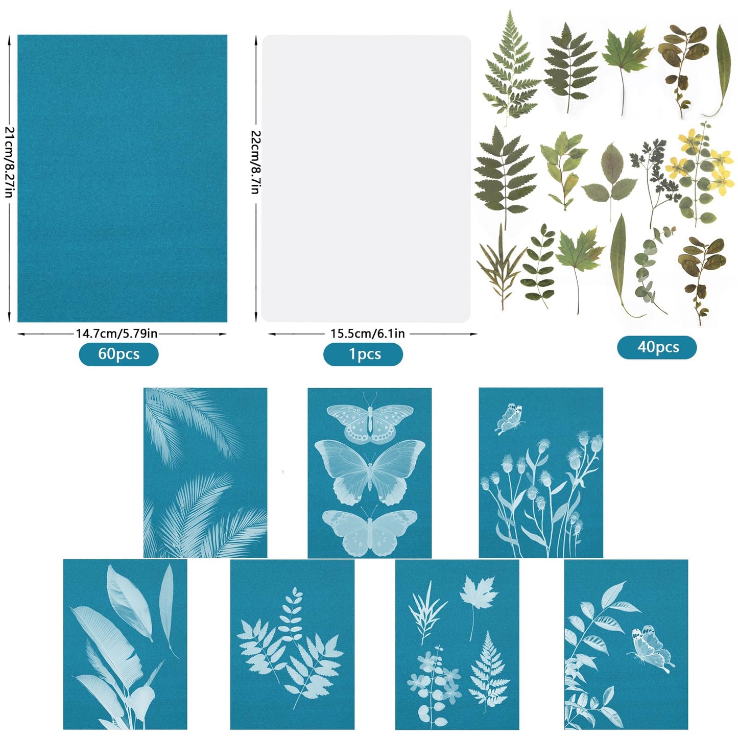 NOVWANG 60 Sheets Cyanotype Paper, 5.8 x 8.3 Inch High Sensitivity Sun Print Paper Cyanotype Kit Sun Art Paper DIY Arts with 1 Sheet Acrylic Panel for Arts Crafts DIY Project