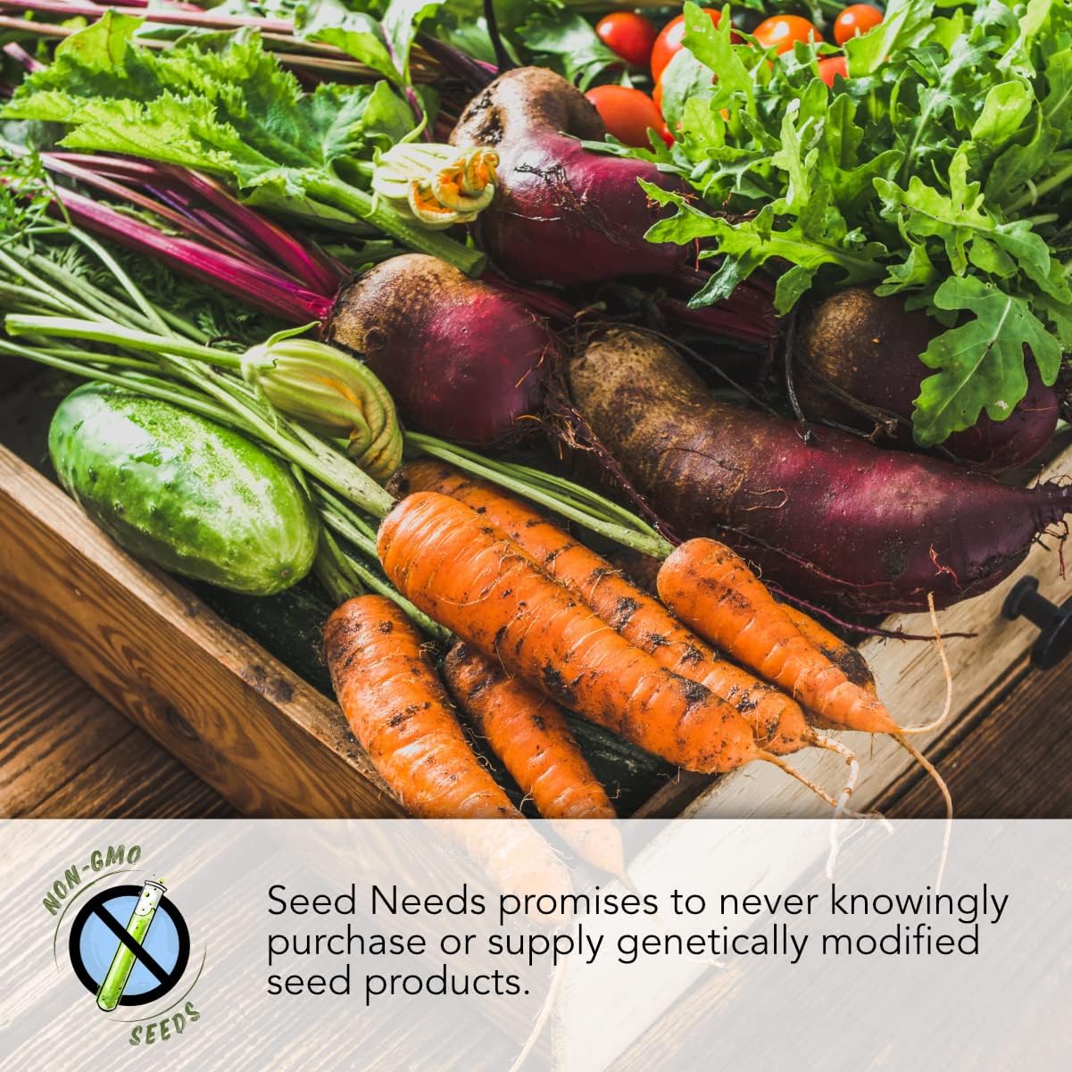 Pack 5 Packets 4 Seed Needs Butterhead Lettuce Seeds Variety for Planting a Collection of Individual Varieties