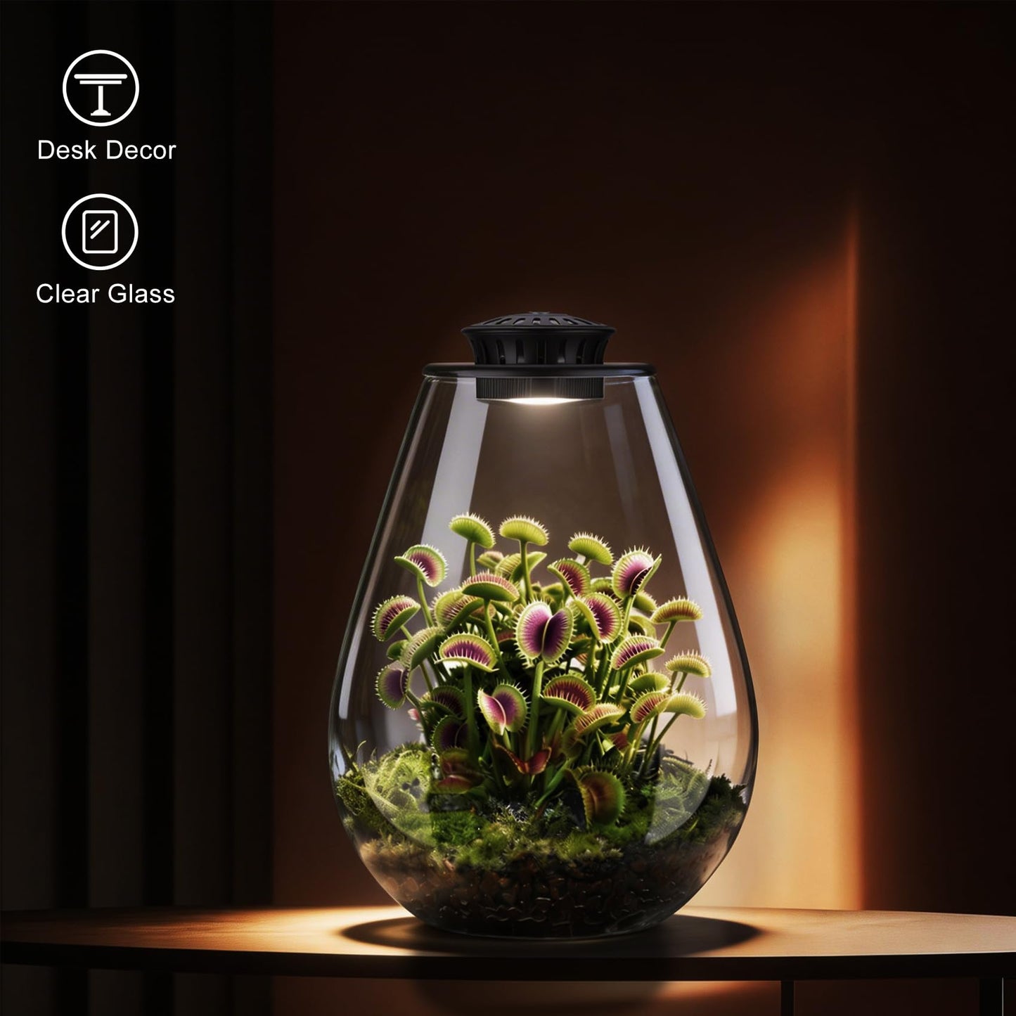 Xyingshine Glass Plant Terrarium with LED Grow Light, 7.8" Borosilicate Terrarium with Adjustable Ventilation & Timer, for Venus Fly Trap, Moss, Succulents, Mini Landscape, Desk Decor for Home Office