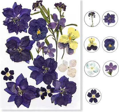 Flowers for Resin Model, Real Pressed Flowers Dry Leaves Bulk Natural Herbs Kit for Scrapbooking DIY Art Crafts, Epoxy
