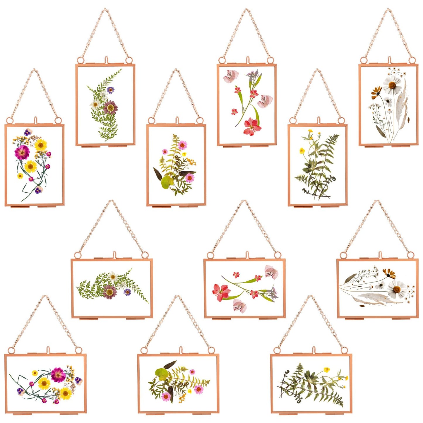 Kigley Double Glass Frame for Pressed Flowers Floating Hanging Photo Frame Gift for Graduation Mother's Day 3.5 x 2.5 in Brass Clear Decor with Chain for Display Gallery Artwork(Rose Gold,12 Pcs)