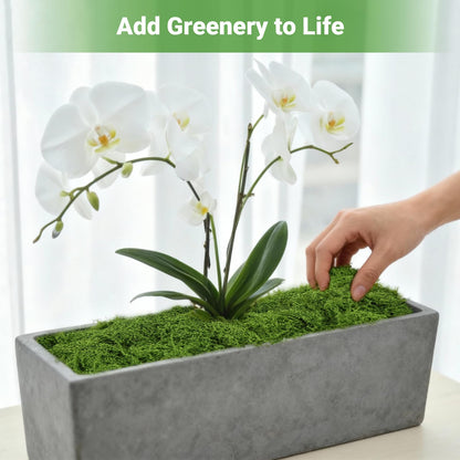 BESKIT Artificial Green Moss for Potted Plants, 10.6 oz Fake Moss Decor for Indoor Plants, Glass Containers, Wedding, Gardens, DIY Crafts (Dark Green)