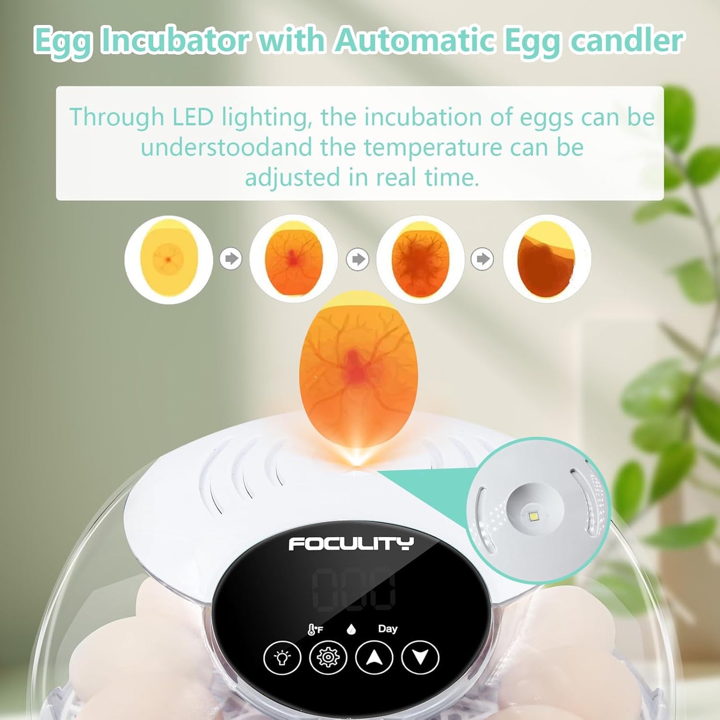 TWIZMO 12 360 Egg Incubator for Hatching Chicks, Holds Eggs, Automatic Egg Turner with Temperature, Humidity Display