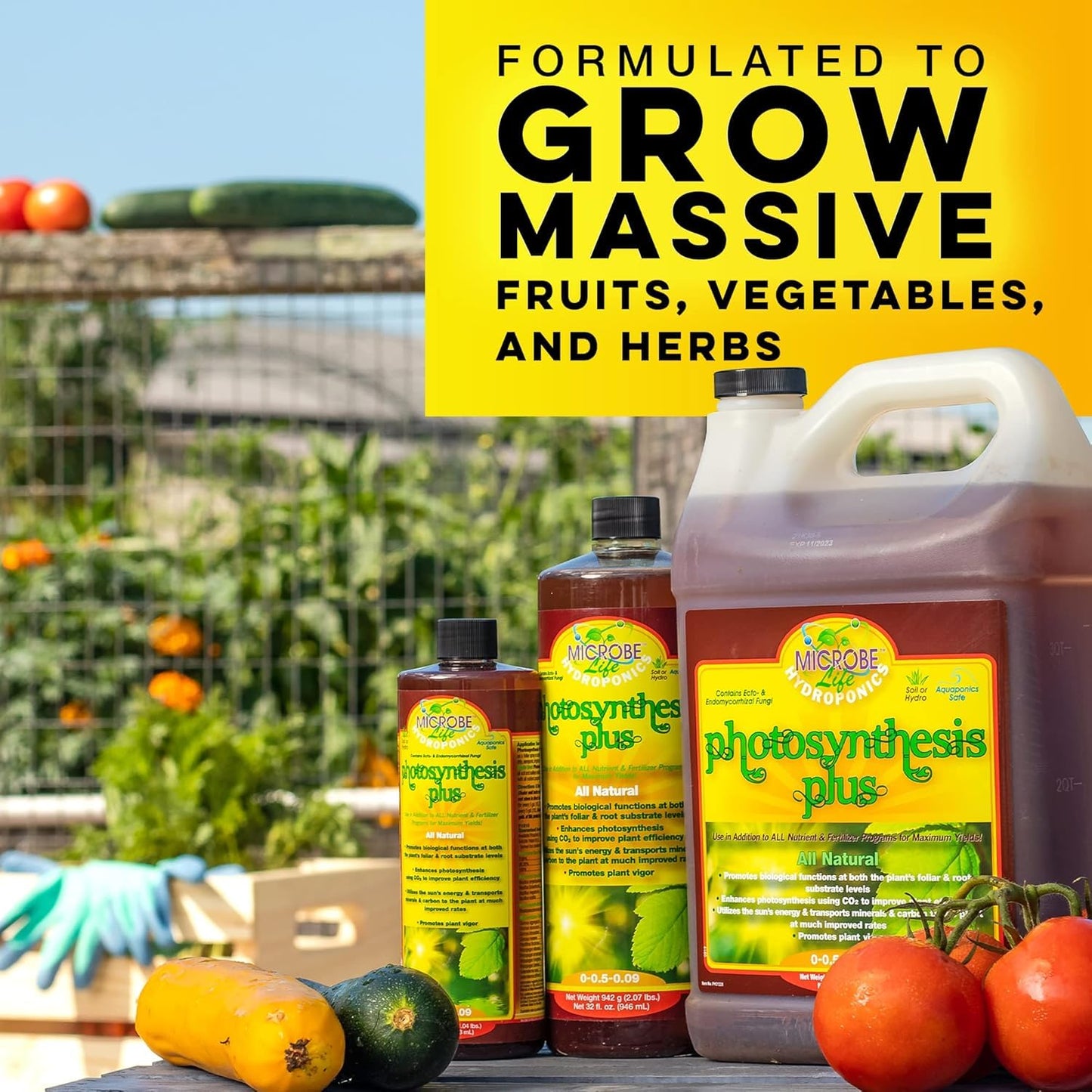 16 oz 4 oz Microbe Life Hydroponics pH Control Kit with pH Up and Down for Stability, Bottles, Sample of Premium Liquid