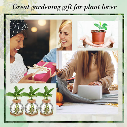 12 Packs Baderke Propagation Vases for Plants Plastic Plant Propagation Station with Hole Lid and Cork Coasters Plant