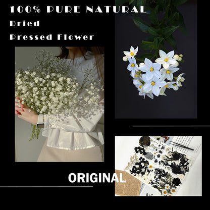 MIKIYA 84Pcs Black Dried Pressed Flowers for Resin Molds, Bulk Real Natural Dry Floral for DIY Art Crafts, Epoxy Jewelry, Candle, Soap Making, Nails Decor, Phone Case