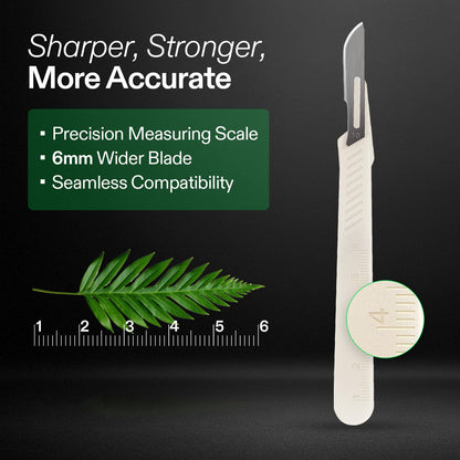 VIVOSUN #10 High-Carbon Steel Blades for Cutting Plants and Propagation