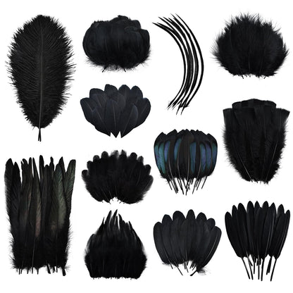 Daieeparty Black Craft Feathers Bulk-360pcs 12 Style Mixed Natural Feathers for Wedding Home,Dream Catcher Supplies and DIY Crafts (Black)