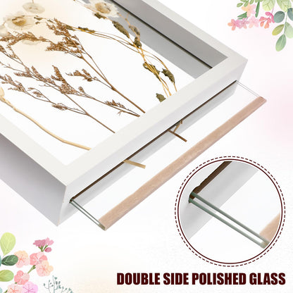 Fiwochic 4 Pack Pressed Flower Floating Picture Frames, 10, 8, 6, 5 Inch White Wooden Double Glass Pressed Flower Frames Wall Tabletop Display for Dried Flowers, Photos, Art, Birthday, Wedding Gift