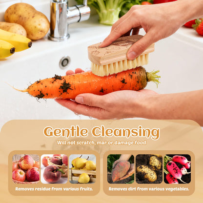 Vegetable and Fruit Cleaning Brush Scrubber Beechwood Handle Fruits Veggie Wash Brushes Potato Carrot Cucumber Mushrooms Washing Cleaner(Beige, 2)