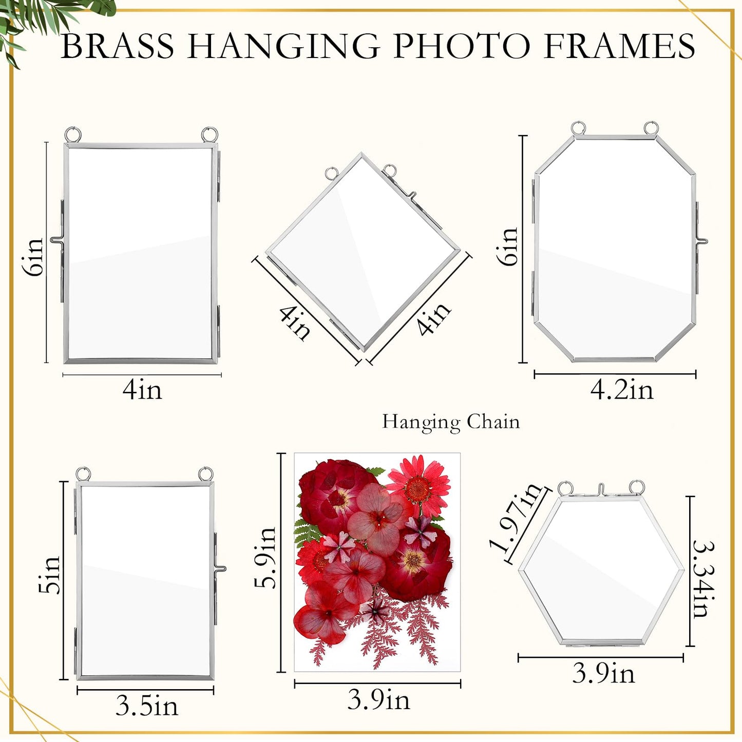 Bucherry 5 Pcs Glass Frame for DIY Pressed Flowers Art Hanging Photo Picture Frame with Chain and 6 Styles Pressed Flowers Collage Glass Craft Frames for Wall Decor Display Gallery (Silver)
