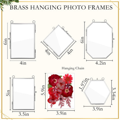 Bucherry 5 Pcs Glass Frame for DIY Pressed Flowers Art Hanging Photo Picture Frame with Chain and 6 Styles Pressed Flowers Collage Glass Craft Frames for Wall Decor Display Gallery (Silver)