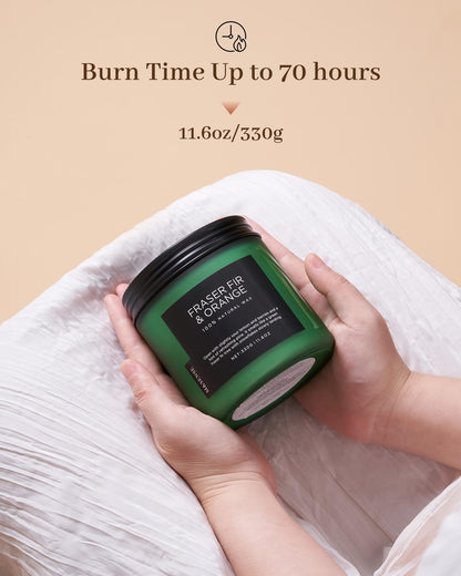M&SENSE Fraser Fir Pine Scented Candle, Natural Soy Wax Non Toxic Candles 70 Hours 2 Cotton Wick 11.6oz Cozy Home Fragrance Aromatherapy Candle for Birthday Holiday Gifts for Mom Women
