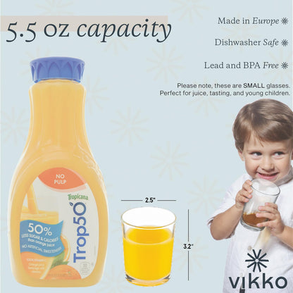 Vikko Set of 6 Small Orange Fruit Juice Glasses, 5 oz Durable Tumblers, Dishwasher Safe