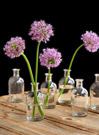 Serene Spaces Living (6 Pack) Bud Vases for Apothecary Jars, Decorative Glass Bottles, Wedding Reception Centerpieces, Mini Flower Vases, Small Medicine Bottles for Home Decor