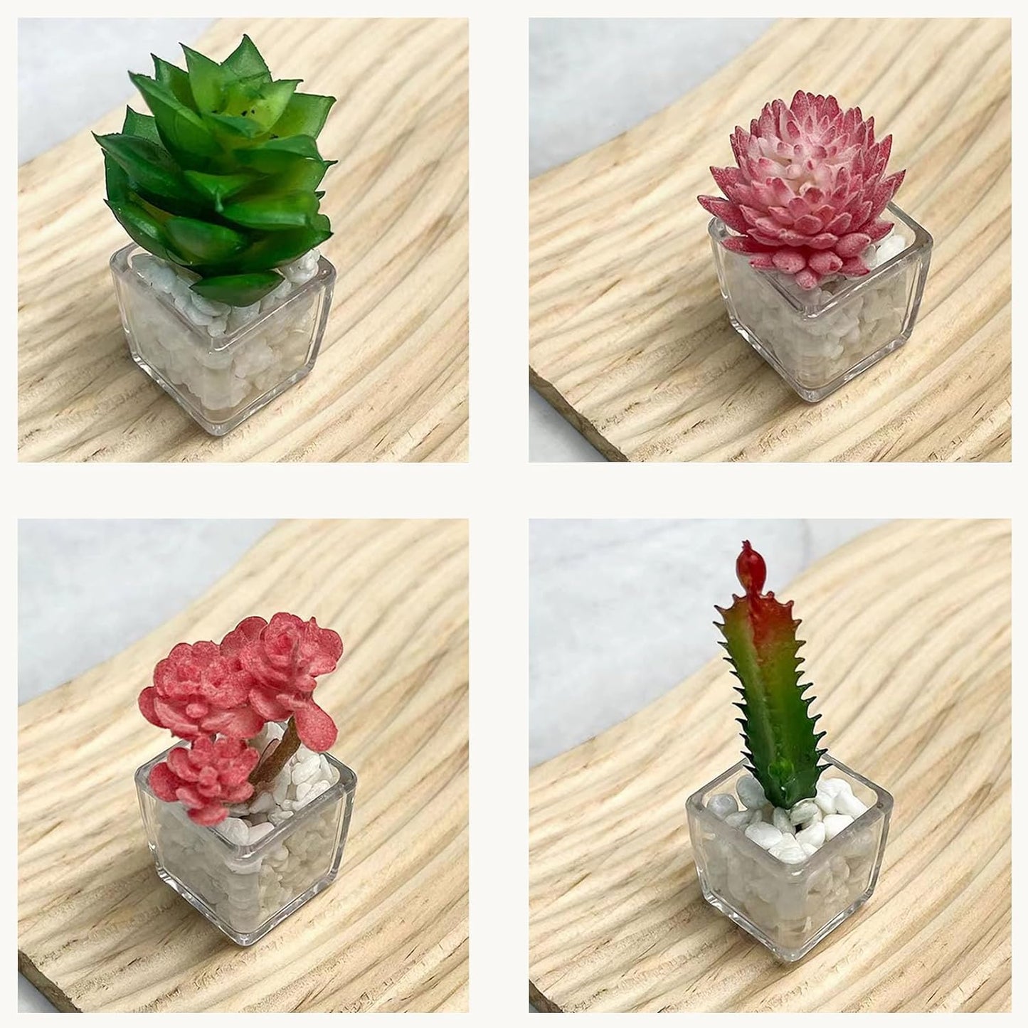 Plant Magnets for Fridge, Succulent Artificial Plants Refrigerator Magnets, Funny 3D Resin Decorative Set of 4
