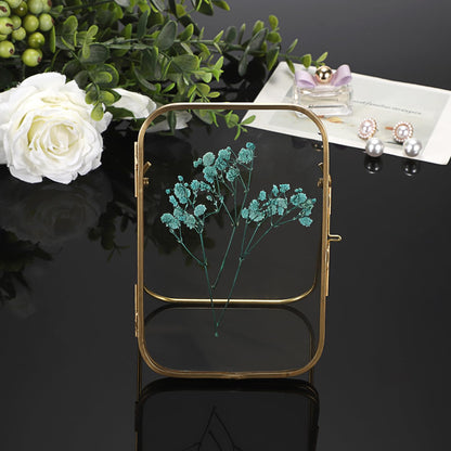 JUXYES Tabletop Double Glass Brass Frames for Pressed Flowers, Double Sided Glass Frame Gold Floating Artwork Display Frames for Photo, Picture, Dried Pressed Flower, etc, 4x6 Inches