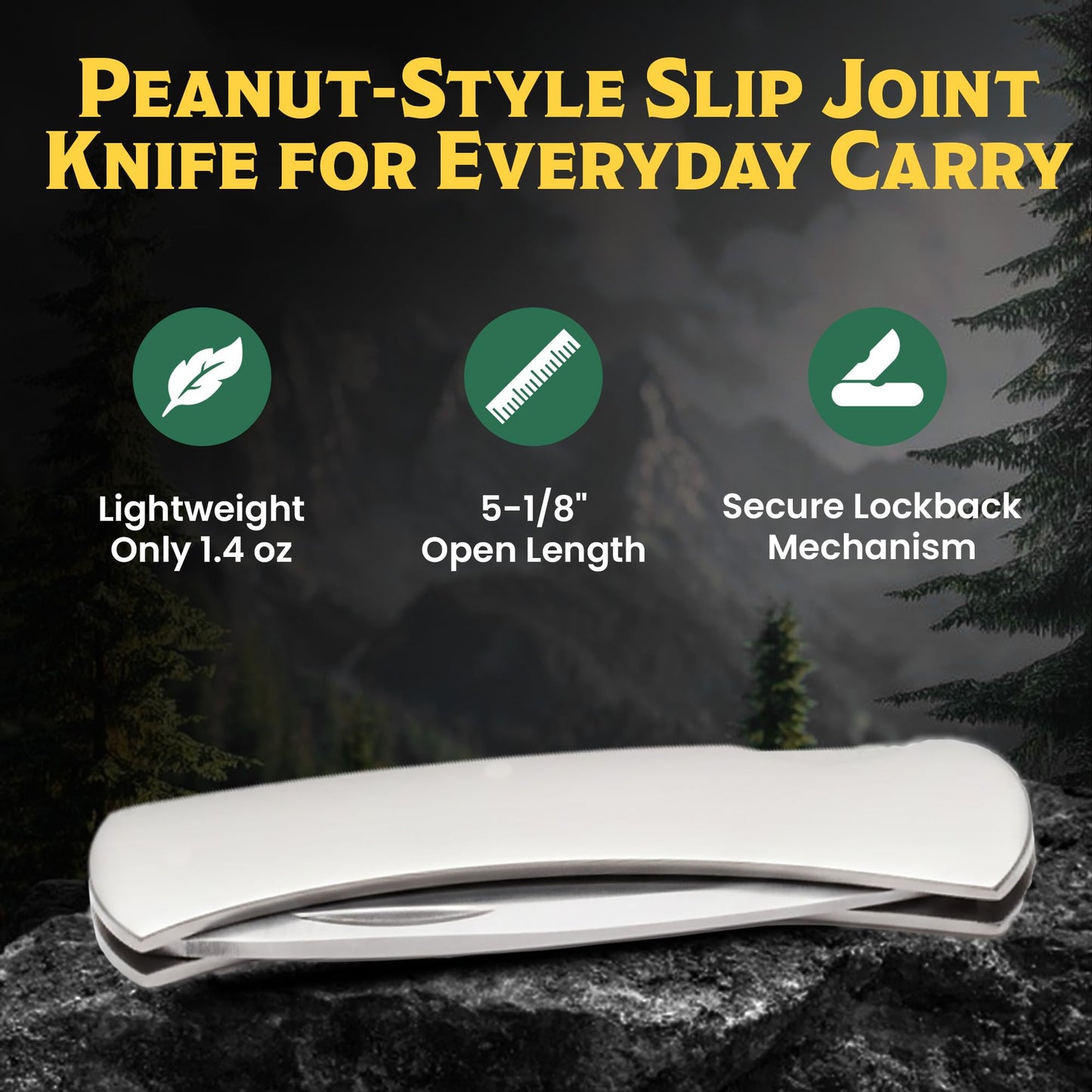 BEAR & SON 125 Executive Lockback Pocket Knife – Small Traditional Stainless Steel Folding EDC w/Brushed Handle, High Carbon Stainless Drop Point Plain Edge Blade, Manual Nail Nick Opening, USA Made