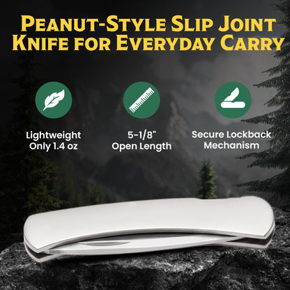 BEAR & SON 125 Executive Lockback Pocket Knife – Small Traditional Stainless Steel Folding EDC w/Brushed Handle, High Carbon Stainless Drop Point Plain Edge Blade, Manual Nail Nick Opening, USA Made