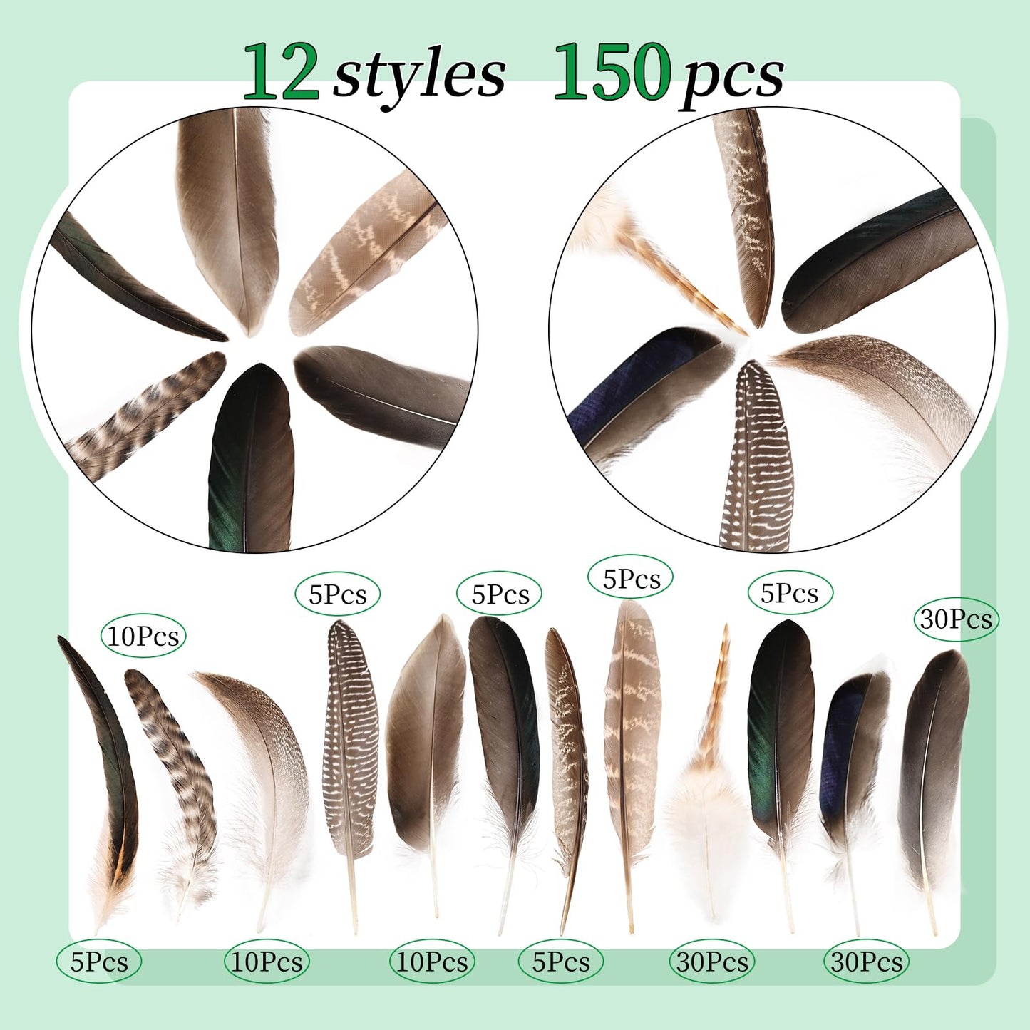 Natural Feathers Bulk - 150PCS - 12 Styles Assorted Natural Feathers, Pheasant Feathers, Turkey Feathers for DIY Crafts, Wedding, Crafting Supplies