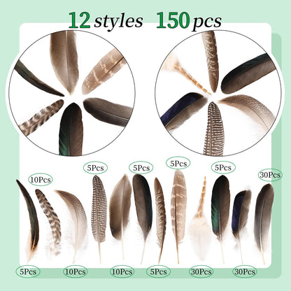 Natural Feathers Bulk - 150PCS - 12 Styles Assorted Natural Feathers, Pheasant Feathers, Turkey Feathers for DIY Crafts, Wedding, Crafting Supplies