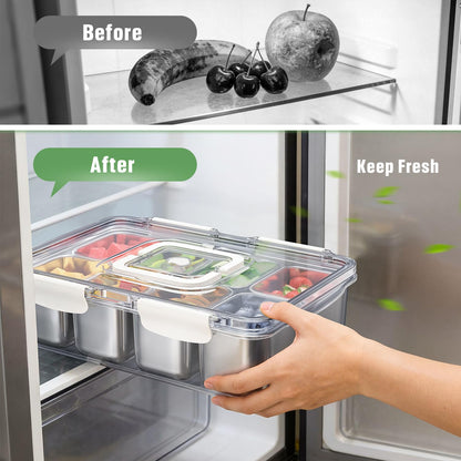 Snackle Box Container, 304 Stainless Steel Divided Serving Tray with Lid and Handle, Portable 4 Compartments Veggie Tray for Fruits,Veggies,Nuts &Candy, Dishwasher Safe for Travel,Picnic,Beach&Parties