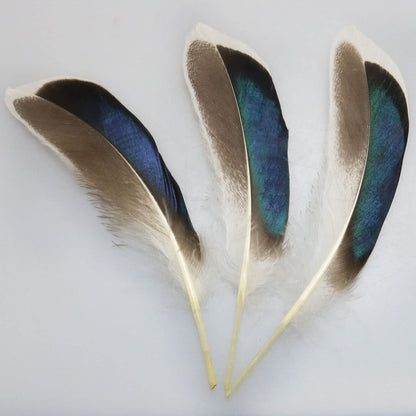 LUORNG 150PCS Duck Feathers, Natural Feather for DIY Craft Art, Decor Feathers for Carnival Halloween Handwork Clothing Costumes Hair Hats Crafts Home Wedding Party Decoration