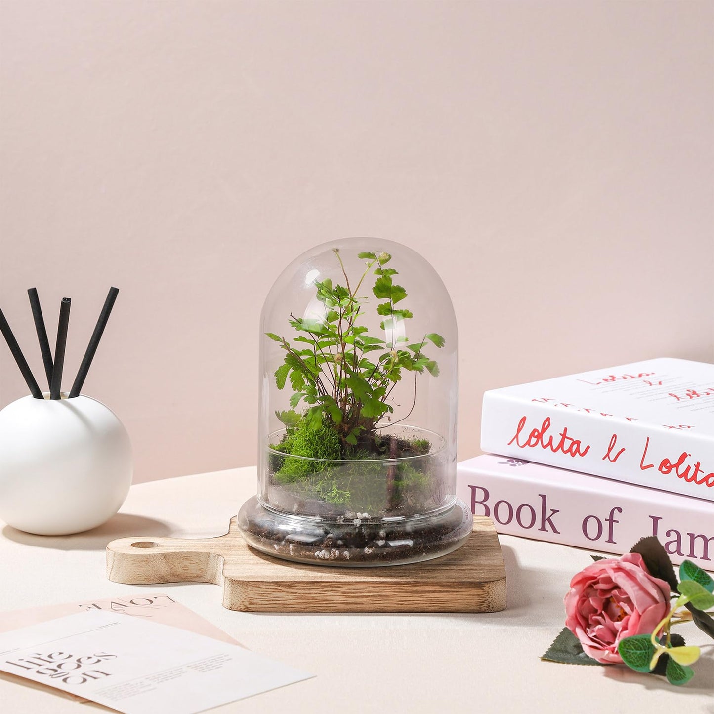WHJY 6 inches Glass Cloche for Indoor Plants Small Terrarium Glass Cloche with Base Mini Cloche Dome with Base for Display Home Decor