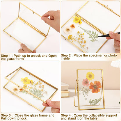 Vicenpal 3 Pack Glass Pressed Flower Frame Handmade, 4 x 6 floating Picture Frames for Pressed Flowers, Brass Double Glass for Tabletop Display, Home Office Plant Specimen, Photos(Gold)