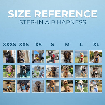 Best Pet Supplies - All Weather Mesh, Reflective, No Pull Harness for Small, Medium Dogs, Cats - Secure with Hook & Loop Fastener, Buckle, Double D-Rings - Baby Blue, S