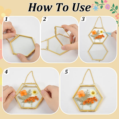 5 Pcs Mini Gold Double Glass Frame for Pressed Flower Frames, 2x3.2 In Wall Hanging Picture Frames with Metal Chain, Horizontal Vertical Floating Glass Picture Frame for Plants Artwork Display