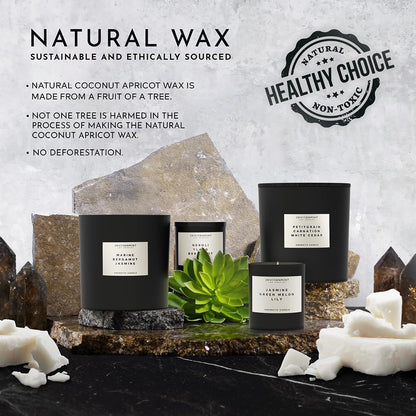 ENVIRONMENT Inspired by 5-Star Resort WSTN Candle, 8oz Luxury Coconut Apricot Wax Candles for Home (White Tea | Cedar | Aloe Vera) Home Fragrance Products, 1 Wick Candle, Vegan & Cruelty-Free