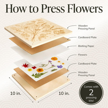 DIY Gift Kits Flower Press Kit - 20 Layers - 2 Sets of 10x10 Inch Wooden Panels - Easy Dried Flower Crafting and Preservation - Adult Beginner Gift Set