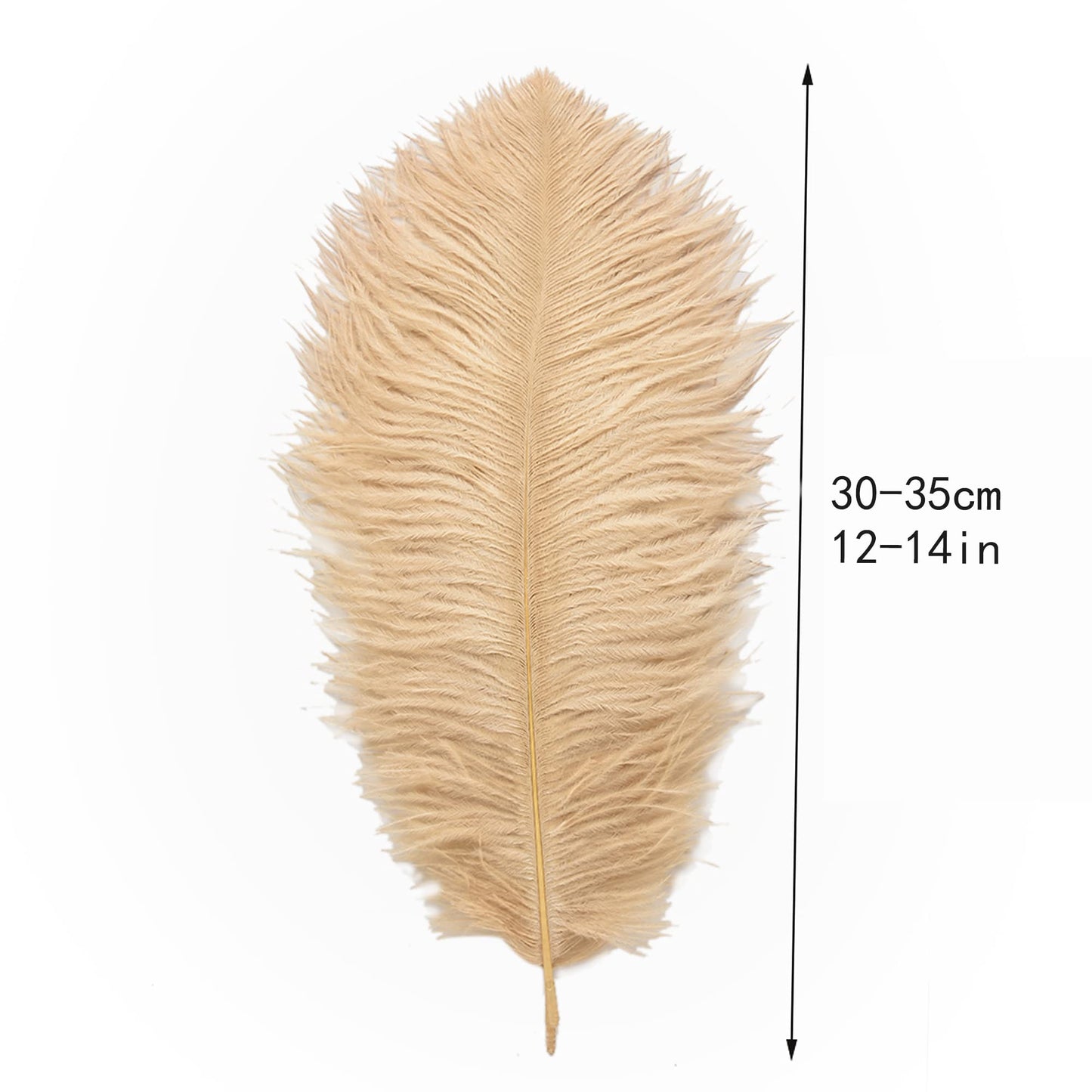 Ballinger Champagne Ostrich Feathers Bulk - 12Pcs 12-14inch Large Boho Feathers for Vase，Wedding Party Centerpieces Home and Pampas Grass Decor