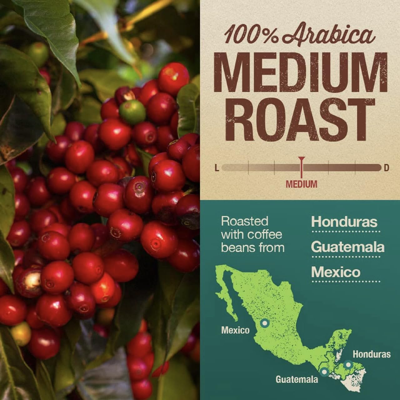 Mayorga Organic Coffee 2lb Mayan Blend - Medium Roast Whole Bean Coffee Specialty Grade, 100% Arabica, Slow Roasted, Chocolate and Floral Flavor with Low Acidity - USDA Organic, Non-GMO, Kosher