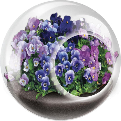 Unique Gardener Tiny Terrarium Plant Seeds 6 Variety Pack, DIY Indoor Succulents and Live Plants for Home or Garden Planting, Assorted Flowering Pack