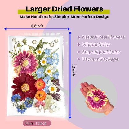 ZQmino A4 Large Dried Pressed Flowers for Resin Real Dry Natural Flowers Leaves for Resin Mold Cake Candle Making Phone Cases Scrapbooking DIY Art Crafts (Rose)