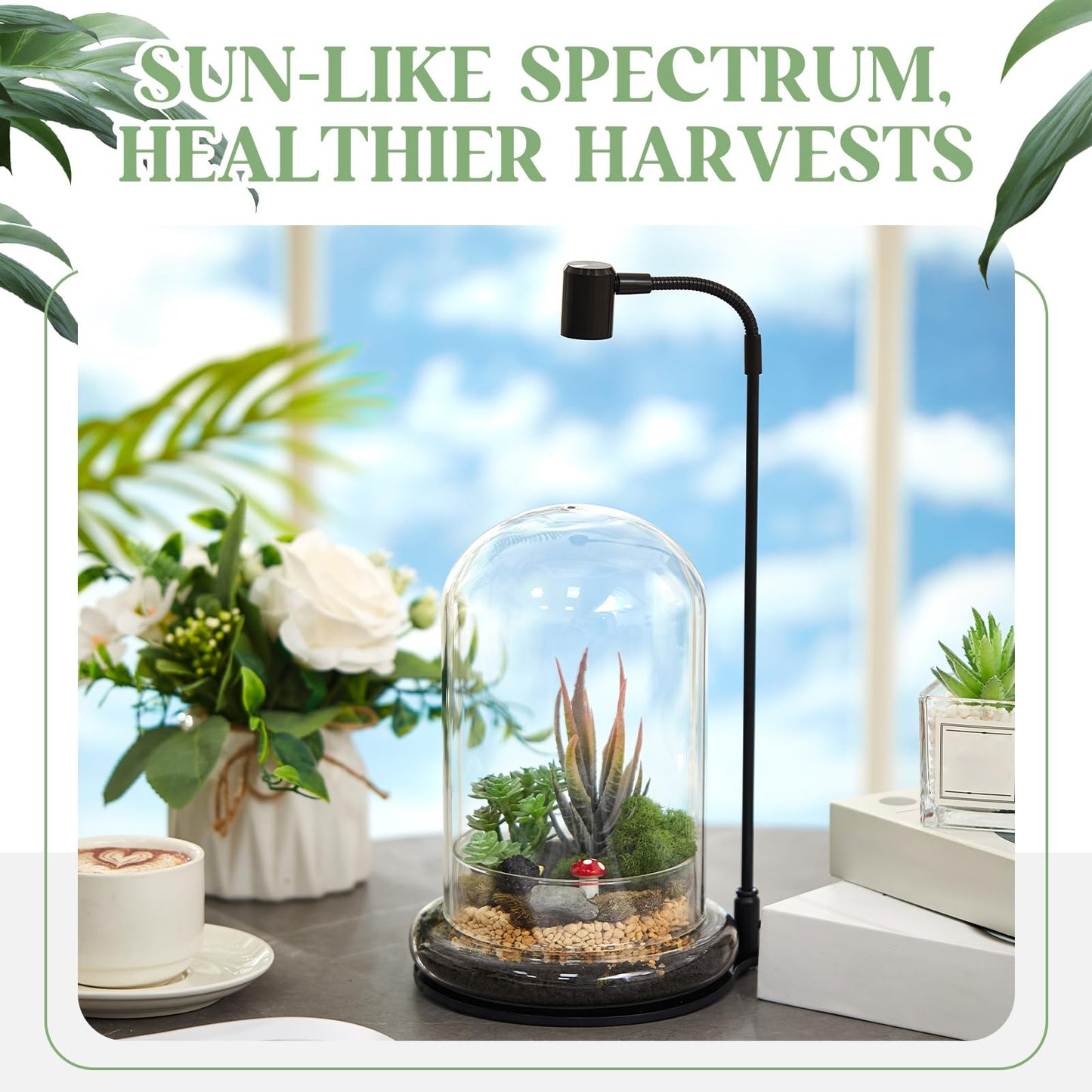 Maxdot Plant Terrarium Kit with Grow Light, 4.8'' x 7.87'' Glass Dome Terrarium with Air Hole and Base, Succulent Air Planter Fern Moss Micro Landscape Vase for Home Office Tabletop Decoration