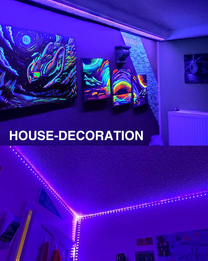 Onforu 32.8ft LED Black Light Strip Kit, 600 Units Lamp Beads, 12V Flexible Blacklight Fixtures, 10m Ribbon, Non-Waterproof for Glow Party, Indoor Birthday, Body Paint,Halloween