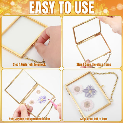 Kigley Double Glass Frame for Pressed Flowers Floating Hanging Photo Frame Gift for Graduation Mother's Day 3.5 x 2.5 in Brass Clear Decor with Chain for Display Gallery Artwork (Gold,12 Pcs)