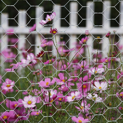 20GA 36 inches 25 1 inch Galvanized Hexagonal Poultry Netting Chicken Wire x feet x Mesh