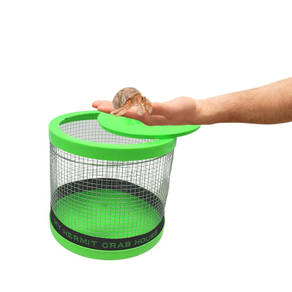 Needzo DIY Terrarium Kit, Small Hermit Crab Starter Kit with Wire Cage, Palm Tree Water Holder, Sponge, Bag of Food and Gravel, All in One Pet Supplies, Color May Vary, 4.5 Inches